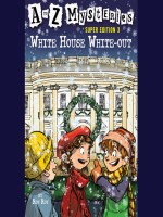 White_House_White-Out